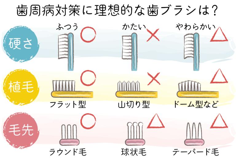 その歯ブラシ、正解ですか？ 歯科医が本音で答える選び方・使い方