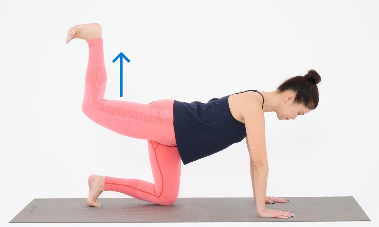 体幹_ドンキーキック_02