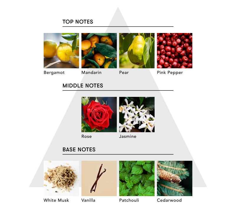 pyramid_DreamCatcher