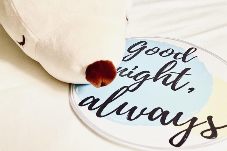 「ニッポンマダムの睡眠改革」の旅は、まだまだ続く