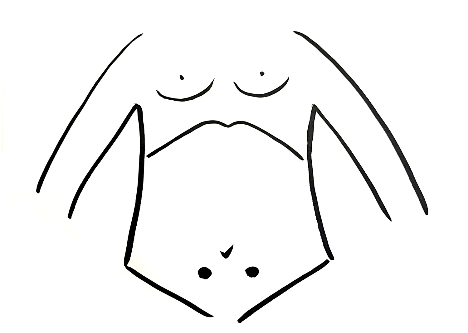 [腹診]で自分の体質・体調がわかる！｜漢方薬剤師 樫出恒代 連載