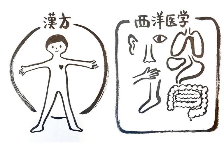 一般的な薬と漢方薬はいったい何が違う？ 併用しても大丈夫？