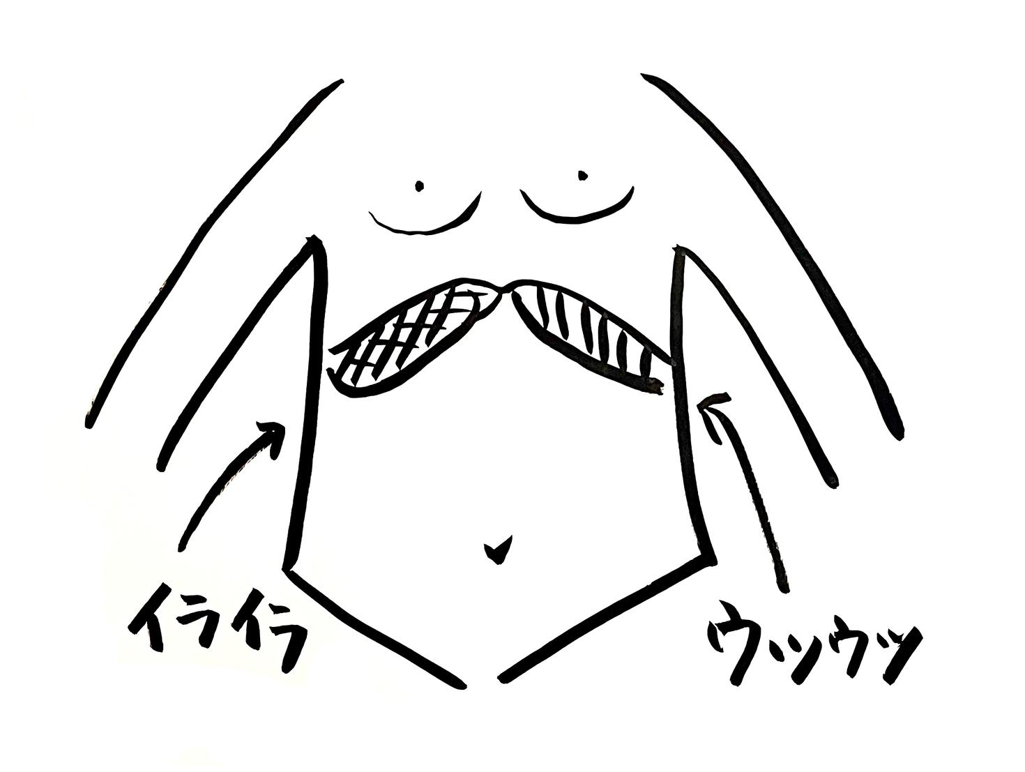 [腹診]で自分の体質・体調がわかる！｜漢方薬剤師 樫出恒代 連載