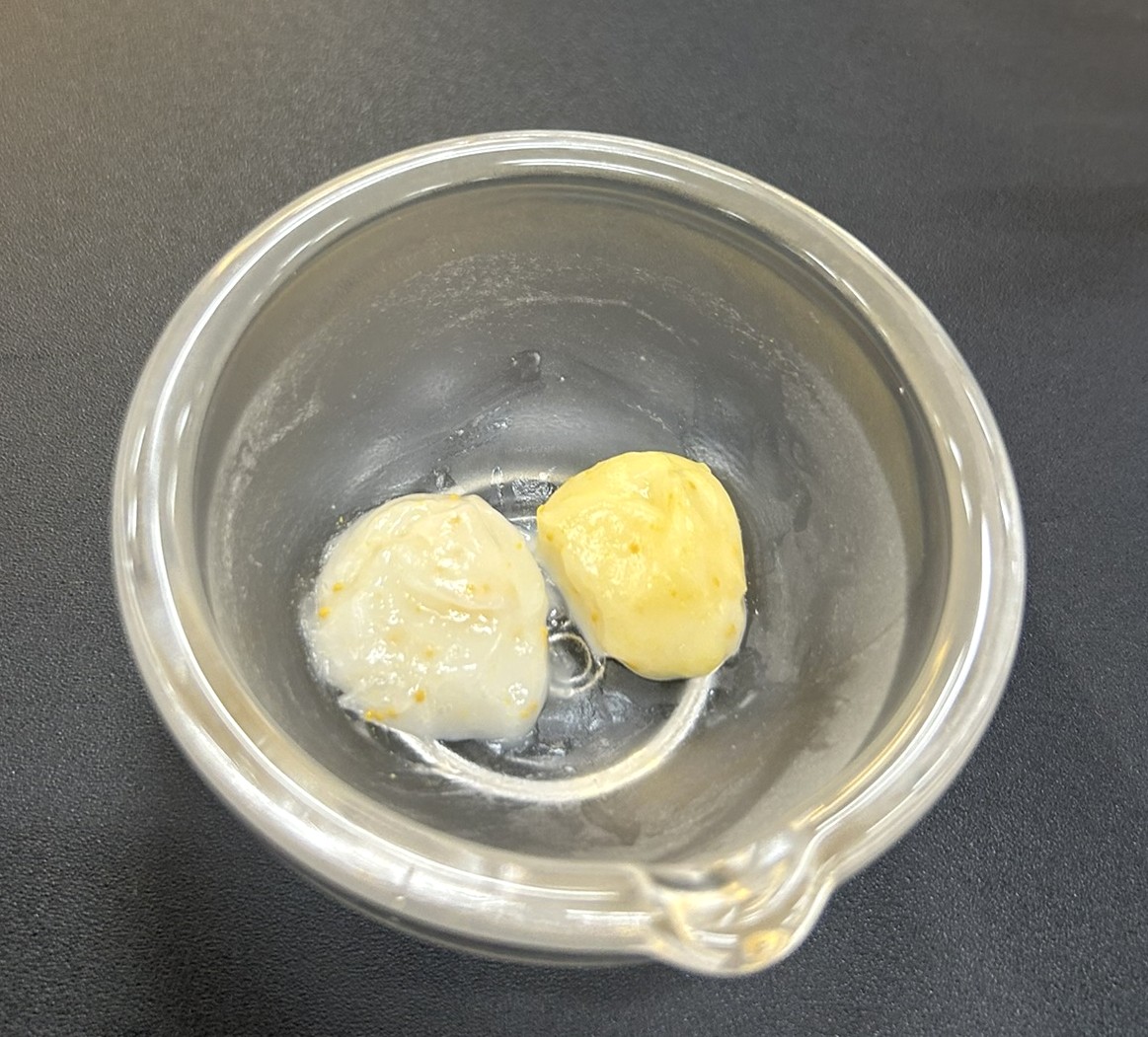 パンテーンのヘアマスク発表会4