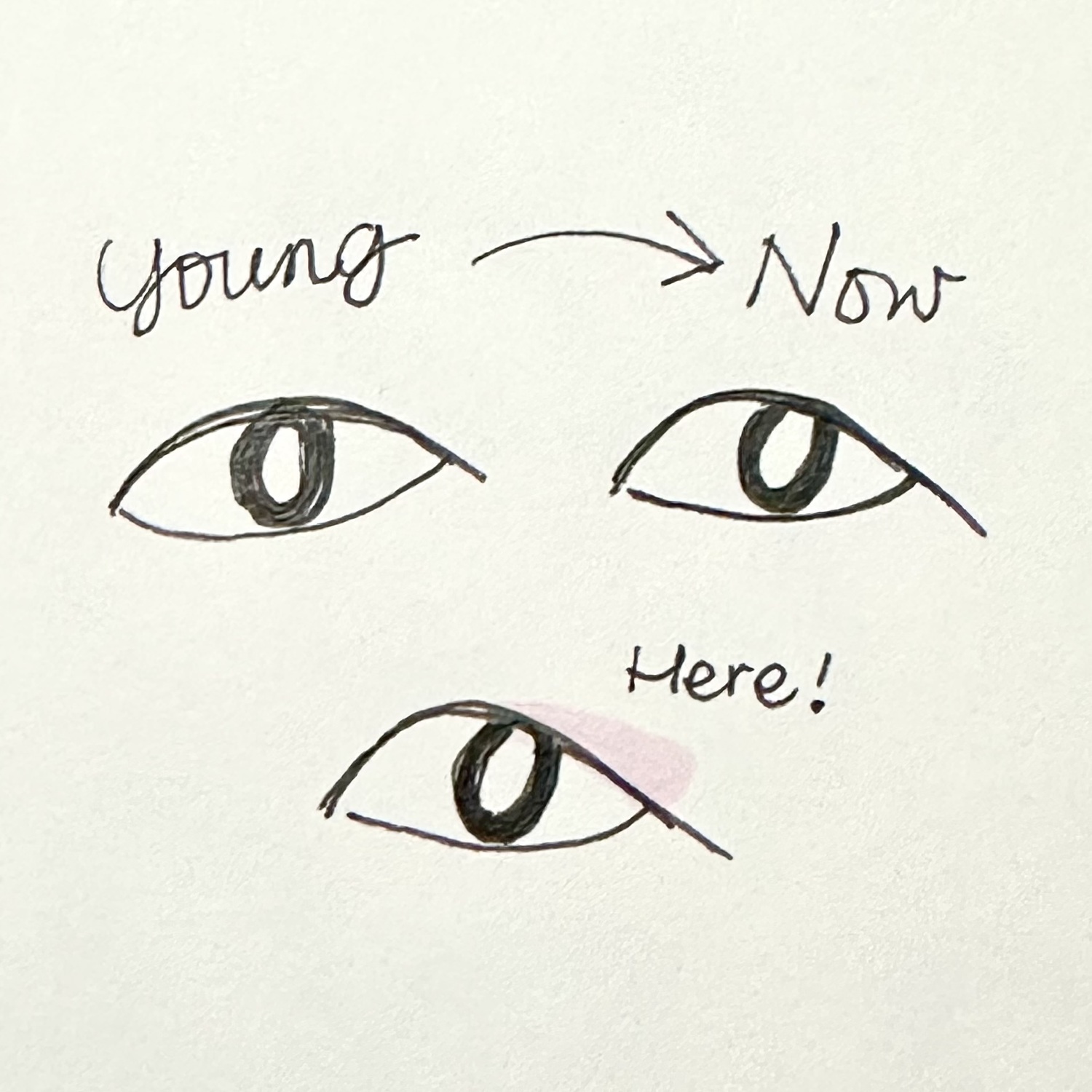 【大人世代のアイメイク】美容エディターおすすめアイシャドウ