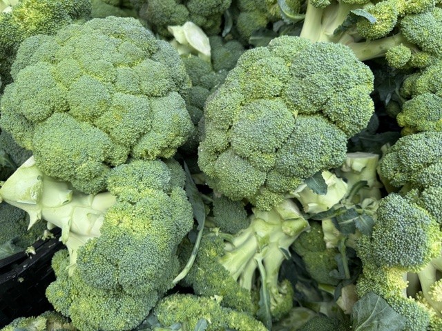 ブロッコリー