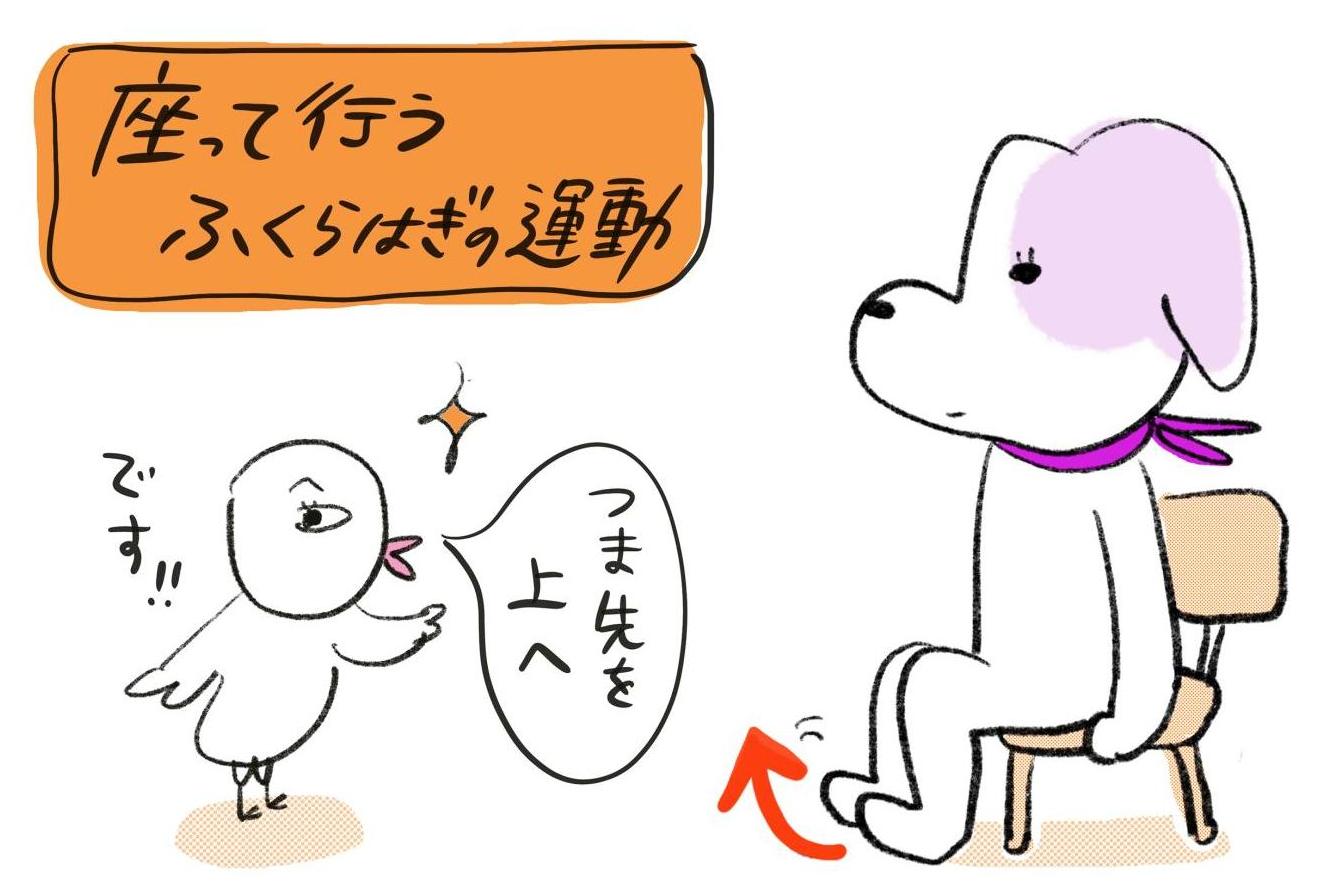 寝たきり　血管を守る　ストレッチ　ふくらはぎ運動