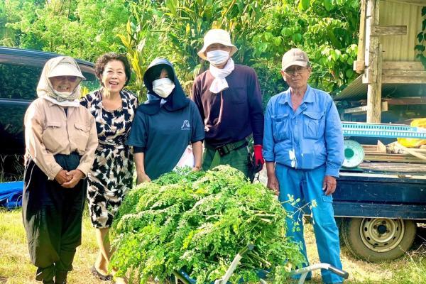 66歳で起業した母のこと。人生は思ったより長く、そして自由！