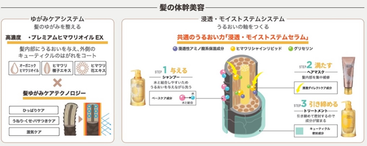 「髪の体幹美容」でまとまる髪へ! ディアボーテ ブルームドール