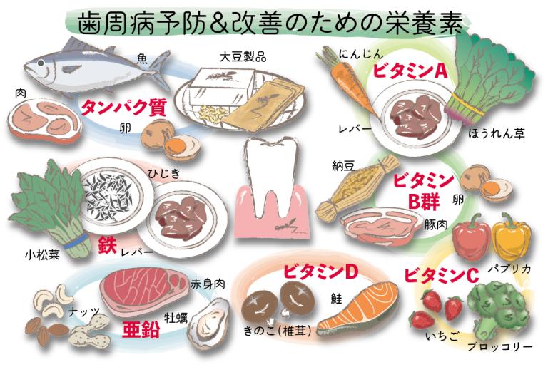 歯周病は体内からも予防できる！ 歯ぐきを強くする７つの栄養素