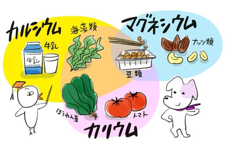 寝たきりを防ぐために、今から〇〇の摂取を意識して！