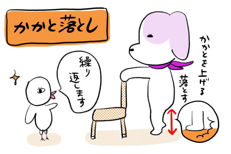 「寝たきり」につながる骨折は〇〇するだけで予防できる!?