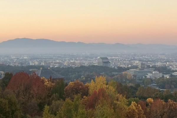 新日本三大夜景・奈良の若草山と絶品ディナー。世界遺産めぐりの宿におすすめです